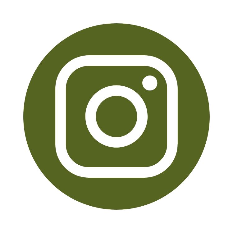 Instagram icon